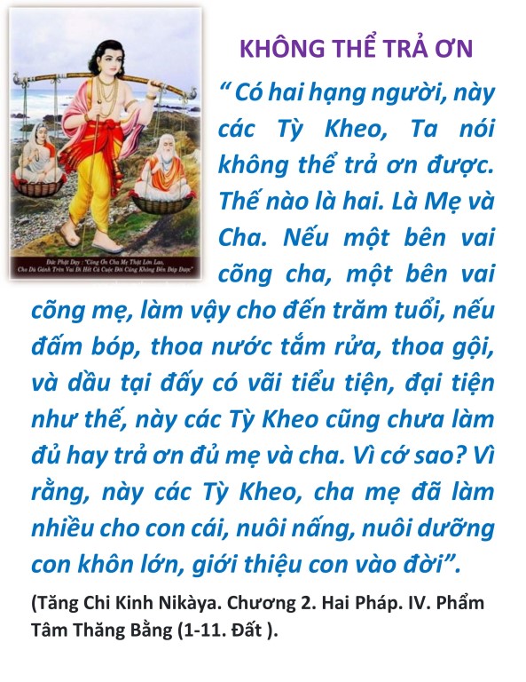 hieu duong cha me_vu lan bao hieu2.jpg